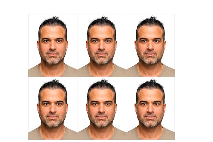 Hoja de fotos de carnet online impresas, 6 unidades formato 10x15